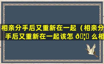 相亲分手后又重新在一起（相亲分手后又重新在一起该怎 🦆 么相处）